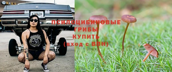 MDMA Козловка