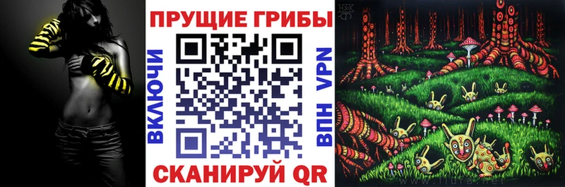 Купить где Егорьевск Псилоцибиновые грибы Magic Shrooms